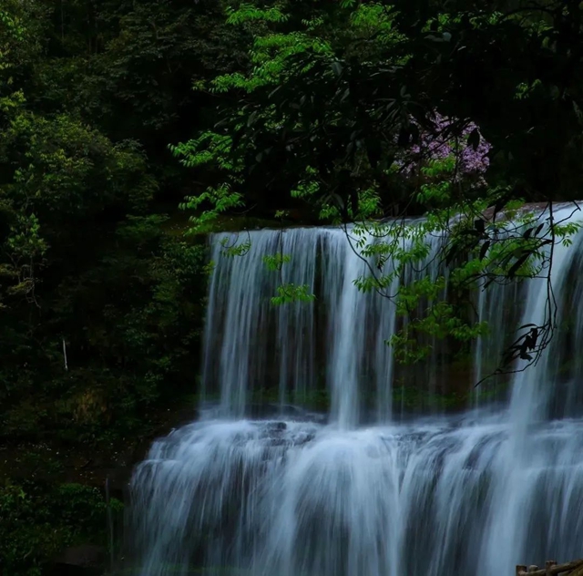 文旅商如何深度融合?泸州三区四县提出这些办法(图22) 22.jpg