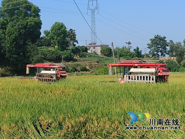 水稻丰收农机作业（赵铭巧摄）.jpg