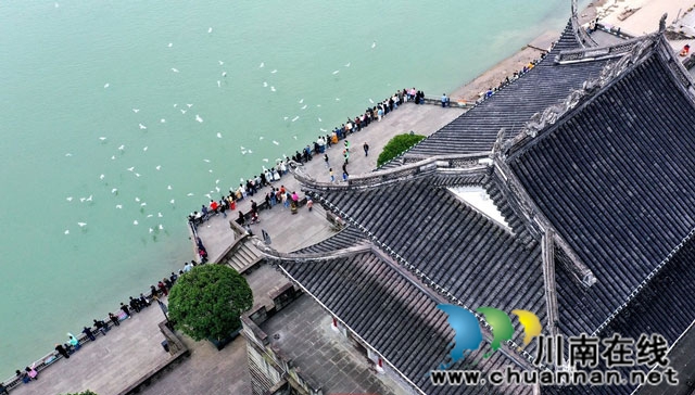 烟火煨肝 蒸腾两岸黄粑气 江风酵胆 醉倒一城酒巷灯——泸州“情绪文旅”的烟火修行(图7) 6.jpg