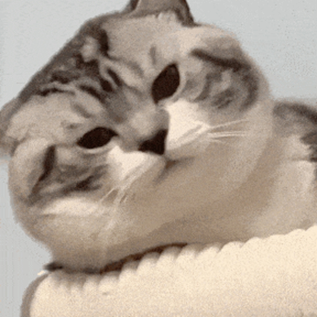 这些日常习惯悄悄伤害你的耳朵,很多人第一个就中招!(图1) 6401.jpg