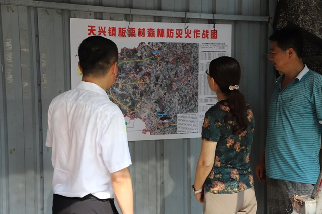 泸县人大常委会副主任罗晓玲到天兴镇督导当前重点工作(图2) 天兴2.jpg