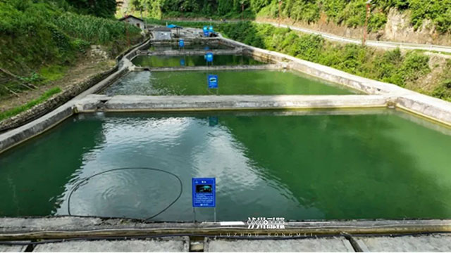 探秘泸州农人的水下致富经:山洞藏“金” 山沟藏“银”(图6) 6.jpg