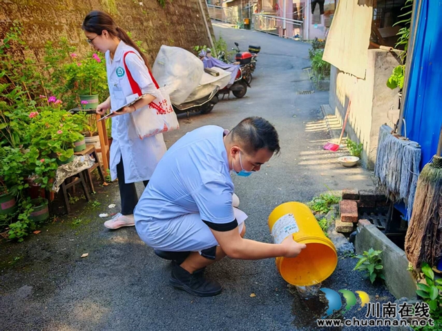 龙马潭区小市街道:全域推进病媒生物综合防治 筑牢健康环境防线(图1) QQ图片20250806101543_proc.jpg