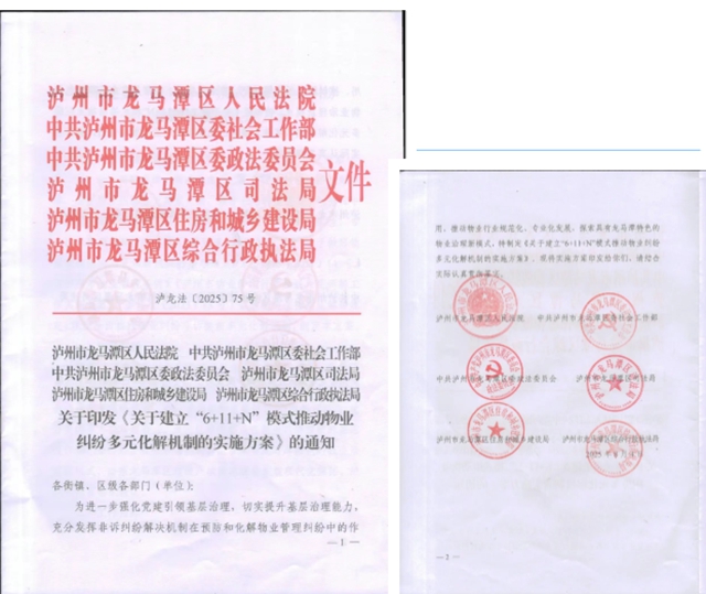 龙马潭区法院:“6+11+n”新模式,让物业解纷网格守护您的安居梦”(图3) 6403.jpg