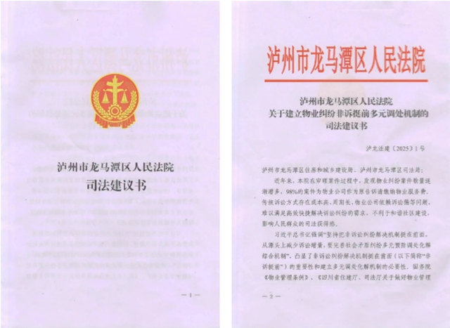 龙马潭区法院:“6+11+n”新模式,让物业解纷网格守护您的安居梦”(图5) 6405.jpg