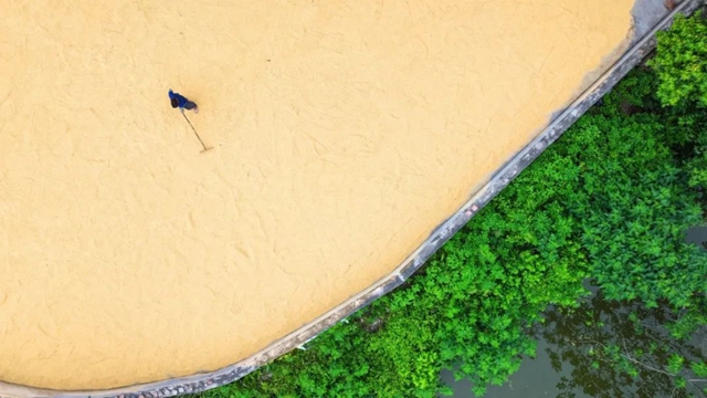 多图丨泸州:200余万亩水稻收割归仓(图1) 6401.jpg