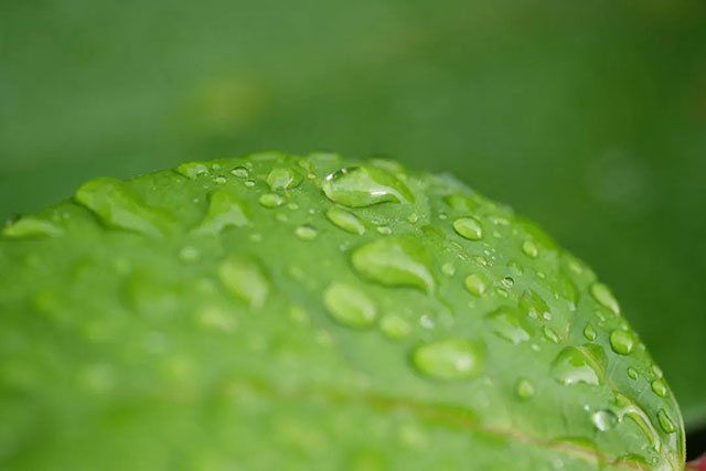 处暑过后:起居需调整,养生要注意(图1) 1.jpg