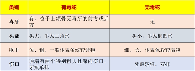 【泸州】4个月，53人被蛇咬伤！