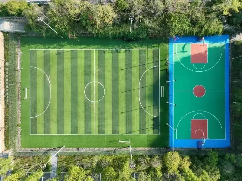 泸州城西免费开放球场+1,开放时间和预约方式→(图1) 1.jpg