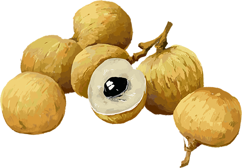 8月25日—9月24日｜ 泸州张坝桂圆林邀您品尝“限量甜蜜 ”！