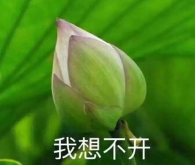 【科普】乳腺癌最喜欢这几类人,快看下有您吗?(图3) 3.jpg