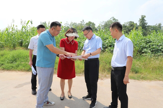 泸县县委副书记、县长张程率队到天兴镇调研当前重点工作