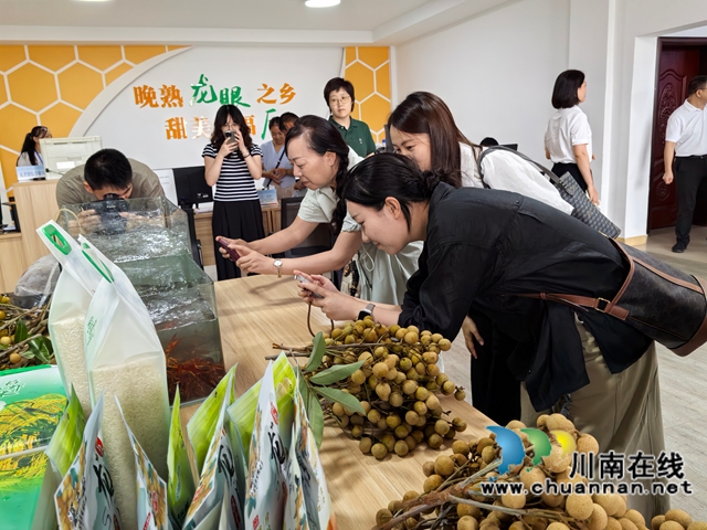 泸县:龙眼龙虾特色产业的增收秘码(图3) 媒体记者拍摄龙眼龙虾(曾佐然摄).jpg