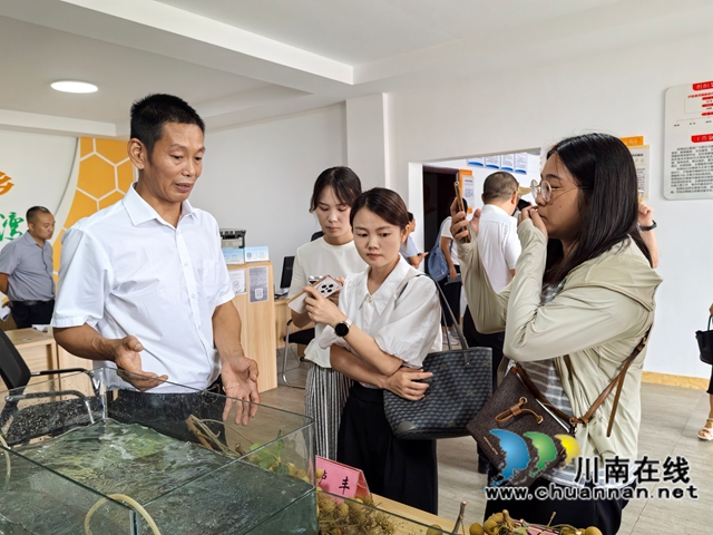 泸县:龙眼龙虾特色产业的增收秘码(图5) 徐仁刚接受媒体记者采访(曾佐然摄).jpg