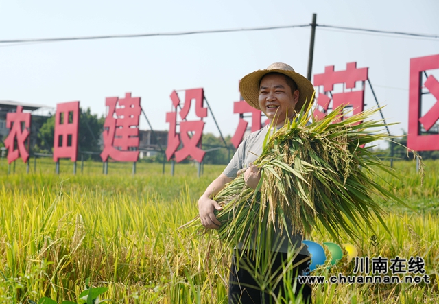龙马潭：人大赋能，“米中钙王”焕新蝶变