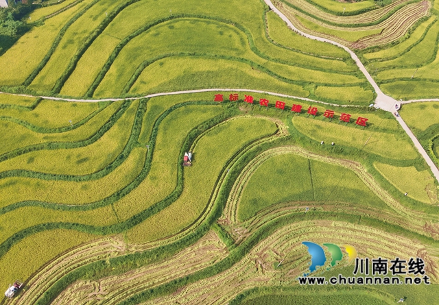 龙马潭:人大赋能,“米中钙王”焕新蝶变(图4) 2.jpg