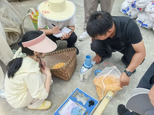 古蔺:玉米“百亩超高产”攻关方突破900公斤/亩(图4) 4.jpg