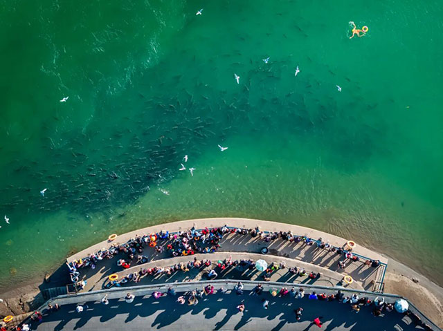 最高奖金3万元!宜宾这场挑战赛,“泳”者来!(图3) 3.jpg