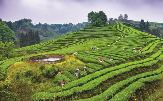 泸州:从“臭水沟”到“网红河” 清溪河的生态逆袭之路(图3) 3.jpg