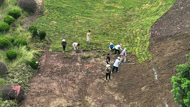 开始动工！10月来泸州张坝看萤火虫