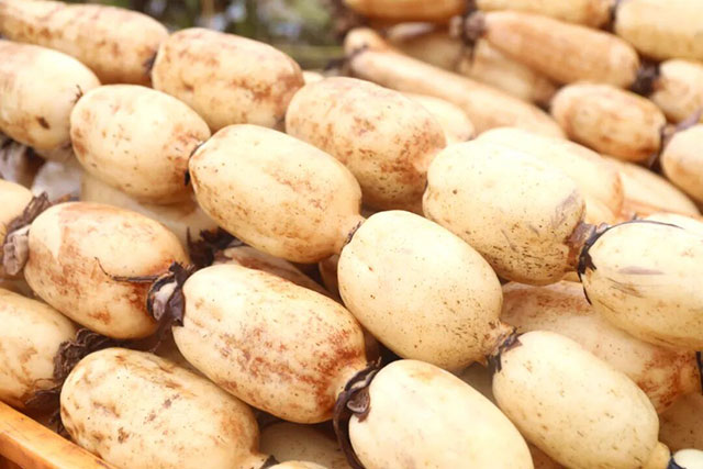 看过来!这类“哪吒”周边,龙马潭就有→(图2) 2.jpg