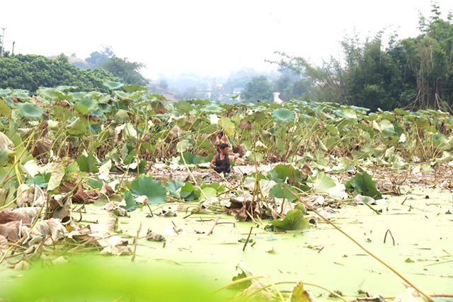 看过来!这类“哪吒”周边,龙马潭就有→(图1) 1.jpg