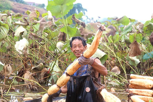 看过来!这类“哪吒”周边,龙马潭就有→(图3) 3.jpg