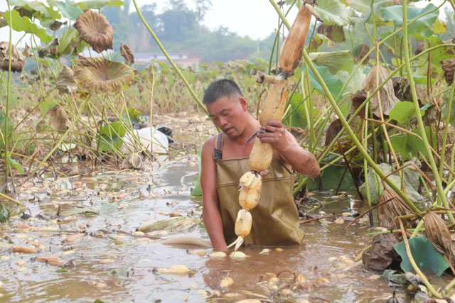 看过来!这类“哪吒”周边,龙马潭就有→(图4) 4.jpg