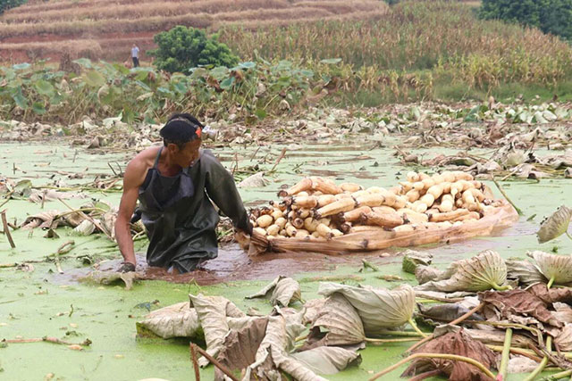 看过来!这类“哪吒”周边,龙马潭就有→(图7) 7.jpg