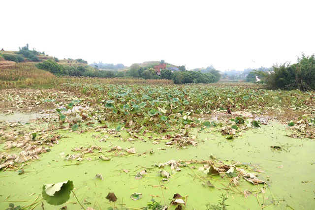 看过来!这类“哪吒”周边,龙马潭就有→(图8) 8.jpg