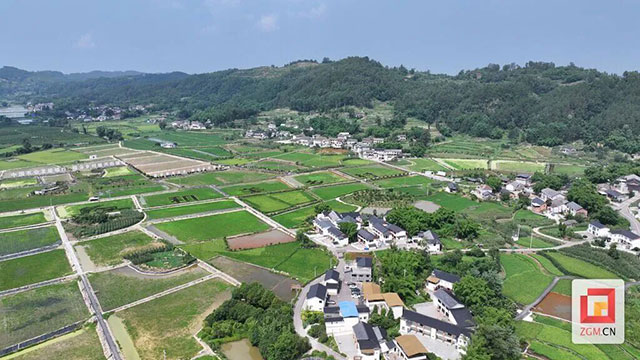 刻刀下的“文明积分”:自贡这个村用版画“画”出和美乡村新图景(图6) 6.jpg