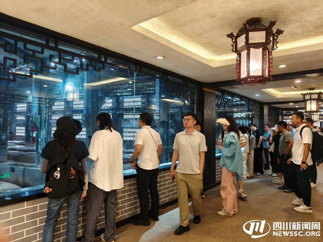 泸州:从老街改造到酒旅联动 激活“文旅商”新动能丨活力中国调研行(图4) 4.jpg