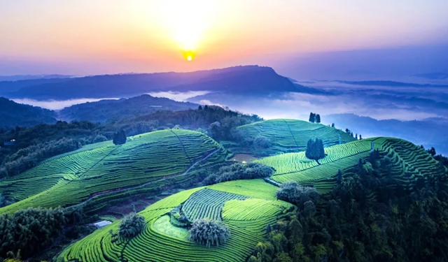 点赞!纳溪一地上榜最新省级地名保护名录(图12) 12.jpg