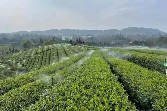 点赞!纳溪一地上榜最新省级地名保护名录(图13) 13.jpg