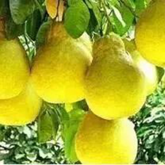 点赞!纳溪一地上榜最新省级地名保护名录(图15) 15.jpg