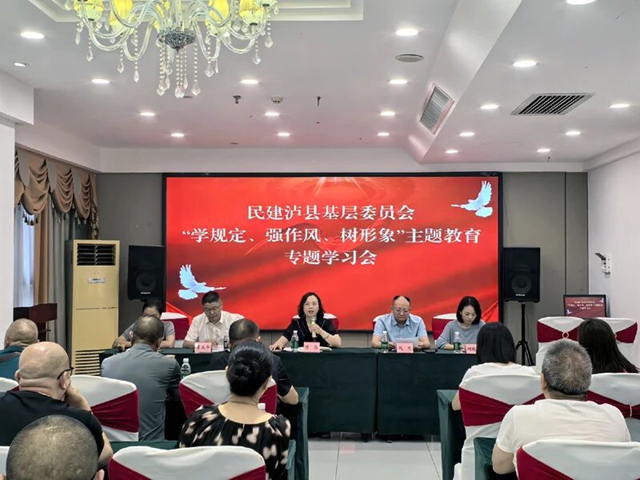 民建泸县基层委召开主题教育学习会暨三季度组织生活会