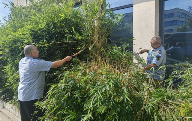 泸州公交集团党委红色方向盘|先锋领航责任区 全员奋进“加速度(图5) 公交5.jpg