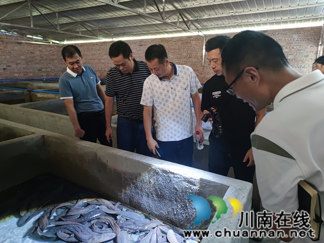 泸县:送政策、优服务,激发返乡创业群体活力(图3) 走访组在泸县奇峰镇宝藏大鲵水产养殖有限公司1.jpg