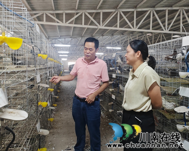 泸县:送政策、优服务,激发返乡创业群体活力(图2) 走访组在泸县福集镇鸽多多养鸽家庭农场开展调研1.jpg