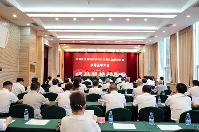 民建江阳区基层委员会：召开换届选举大会，率先完成基层组织换届
