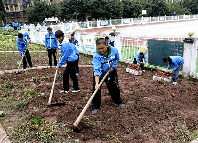 从“优”到“强”!纳溪区深耕教体沃土,绘就高质量发展新图景(图9) 9.jpg