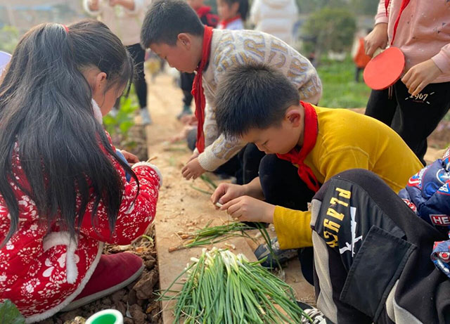 从“优”到“强”!纳溪区深耕教体沃土,绘就高质量发展新图景(图12) 12.jpg