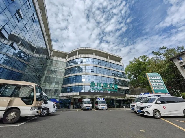 桂圆熟透了!泸州人去外面耍要当心“空中小霸王”——马蜂(图4) 4.jpg