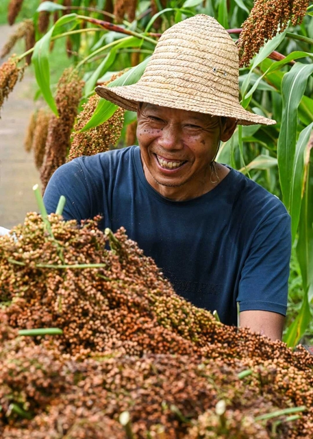 泸州“丰”景独好!今日,把丰收装进购物袋(图8) 8.jpg
