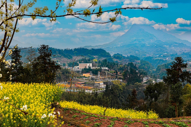 我国首个累产破千亿方页岩气田在川诞生(图1) 1.jpg