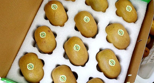 叙永石桩村6万斤黄心猕猴桃熟啦!把秋天的新鲜甜蜜抱回家(图6) 6.jpg