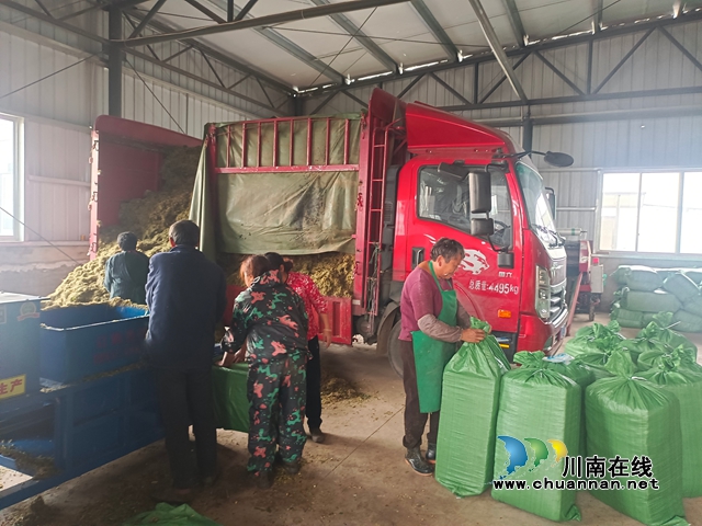 纳溪:“小”秸秆撬动乡村“大”振兴(图1) 车1.jpg