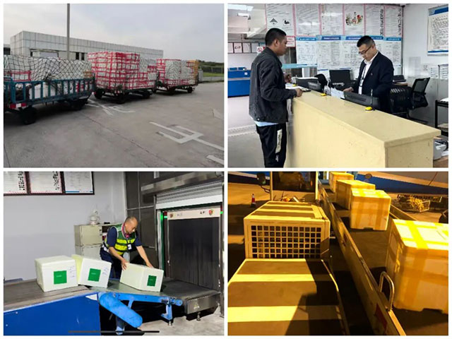 川航(泸州)城市货站揭牌 | 助力泸州构建区域航空物流枢纽(图2) 2.jpg