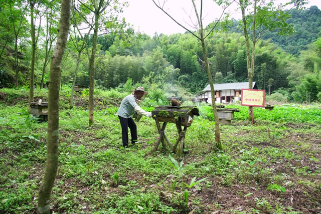 古蔺县:“烟火蔺州·一‘泸’同行”主题活动举行(图3) 3.jpg