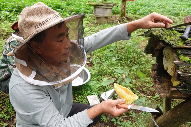 古蔺县:“烟火蔺州·一‘泸’同行”主题活动举行(图5) 5.jpg